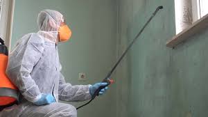 Why You Should Choose Our Mold Remediation Services in Evansville, IN